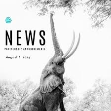 Maximizing Success Through Strategic B2B Partnerships Maximizing Success Through Strategic B2B Partnerships